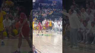 LIVE Arkansas v Baylor in game action johncalipari collegebasketball razorbacks [upl. by Ydnih]