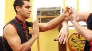 Wing Chun Deflections and Attacks  Trapping [upl. by Naut]