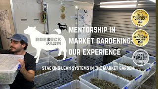 Mentorship in Market Gardening our experience [upl. by Rance97]