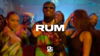 FREE NSG x Swarmz x Afroswing Type Beat  “Rum“  UK AfroswingRampB Instrumental 2023 [upl. by Wailoo]