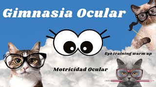 Gimnasia Ocular Eye training warm up Ejercicios para Ojos Motricidad Ocular Visual Tracking [upl. by Nalda]