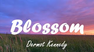 Dermot Kennedy  Blossom lyrics [upl. by Gallard]