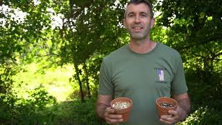 What is Vermiculite How can you use it in your garden [upl. by Aititil970]