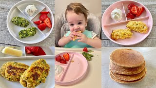 Freezer Friendly Baby Led Weaning Recipes – Prep Ahead [upl. by Ebocaj]