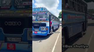 Nirosha enterprise  pulmudecolombo  nd9169 bus slbusfans NE 9169 slbus [upl. by Amling]