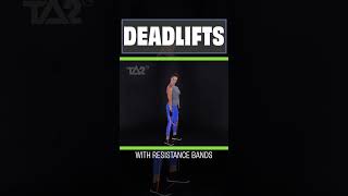 Resistance Band Training  Deadlifts  TA2 Burn Program [upl. by Weidman]