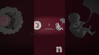 IVF has no detrimental effect on the genome of fetal and placenta lineages  Medical Animation [upl. by Lizabeth]