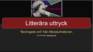 Webblektion litterära uttryck [upl. by Okram]