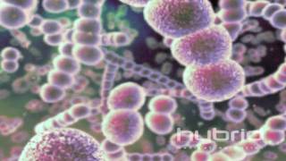 Streptococcus Pneumoniae Hybrid Medical Animation HD [upl. by Yenahs630]