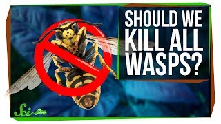 What If We Killed All the Wasps [upl. by Lleraj]