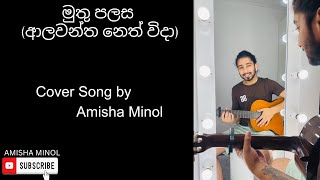 ආලවන්ත නෙත් විදා  Cover Song  Amisha Minol [upl. by Kammerer656]