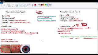 Neurofibromatosis Types 1 and 2 [upl. by Reginauld]