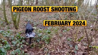 Pigeon Hunting  February Roost Shooting With Paul Moore [upl. by Alael103]