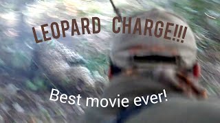 Best Leopard Charge ever A movie Lionel BERTHAULT [upl. by Adamson]