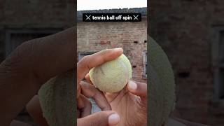 off spin 🥎 shorts offspin shortsfeed tennisball youtubeshorts shortvideo [upl. by Omissam]