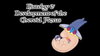 Histology and Development of the Choroid Plexus [upl. by Asserrac93]