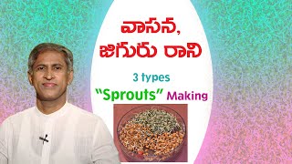 Sprouts Making Recipe In Telugu  Manthena Satyanarayana Raju Latest Videos  Manthena Official [upl. by Arundel]