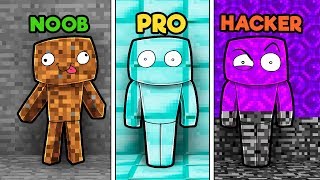 Minecraft  NOOB vs PRO VS HACKER  HIDE AND SEEK [upl. by Roxane496]