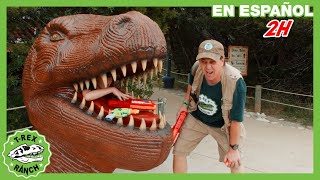 Museo de dinosaurios 🏛️🦖  Videos de dinosaurios y juguetes para niños [upl. by Ygiaf]