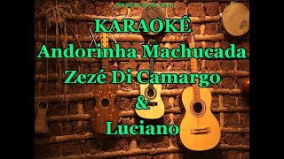 Karaokê Andorinha Machucada  Zezé Di Camargo e Luciano [upl. by Rica]