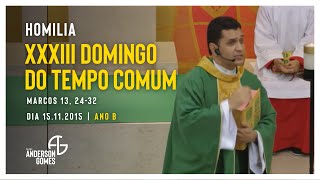 HOMILIA 33º Domingo do Tempo Comum Mc 13 2432Ano B  15112015 [upl. by Iggy]