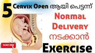 Normal Delivery Cervix Open easy exercise Malayalam pregnancyexercise [upl. by Johnsten446]