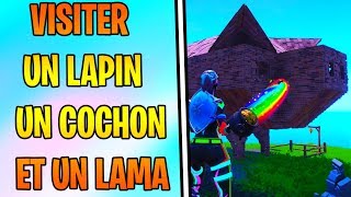 VISITER UN LAPIN EN BOIS UN COCHON EN PIERRE ET UN LAMA EN MÉTAL DÉFI SEMAINE 6 SAISON 8 FORTNITE [upl. by Montano]