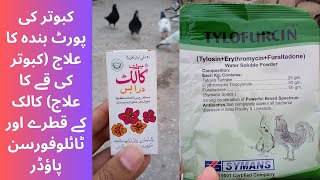 Kabutar ki Har kisam porte band or pigeon vomiting treatment ka ilaj Colic drops or Tylofurcin [upl. by Anoyek]