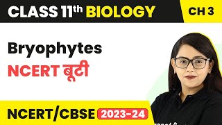 Bryophytes  NCERT बूटी  Plant Kingdom  Class 11 Biology Chapter 3  NCERTCBSE [upl. by Yonit]