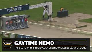 Gaytime Nemo  The Star Sports amp TRC English Greyhound Derby [upl. by Gabriella955]