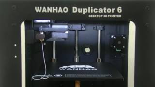 How does a Wanhao Duplicator 6 working and printing a rhino [upl. by Nylassej316]