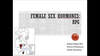 Female Sex Hormones HPG video 9 of series Buhler [upl. by Viridi]