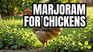 Marjoram A Natural Remedy for Your Backyard Flock 🐔 [upl. by Dnaleel]