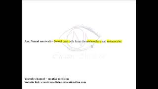 Derivatives of Ectoderm and Endoderm MCQ mp4 [upl. by Lordan867]