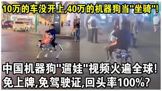 10万元的車還沒開上，40萬的機器狗已經當“坐騎”了？中國機器狗“遛娃”視頻火遍全球！免上牌，免駕駛證，回頭率100？ [upl. by Pollack]