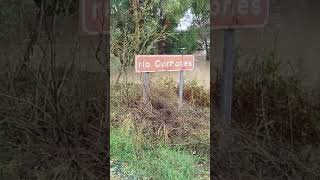 ‼️IMÁGENES DE LA CRECIDA DEL RIO CORBONES EN LA CARRETERA LORACARMONA‼️ [upl. by Yessej101]