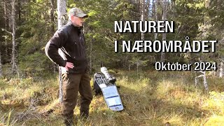 Naturen i Nærområdet  oktober 2024 [upl. by Taran427]