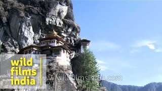 Taktsang monastery in Paro valley Bhutan [upl. by Ellebyam]