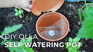 How to make DIY Ollas SelfWatering Systems for Plants [upl. by Etnor]