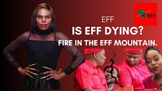 EFF DRAMA  NDLOZIS WIFE  MALEMA IS HURT [upl. by Ahnavas545]