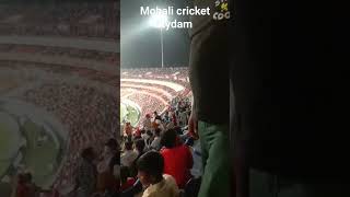 mohali cricket Stydam cricket mohali [upl. by Eboh]