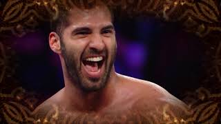 Ariya Daivari 3rd Titantron 20172019 HD [upl. by Castora]