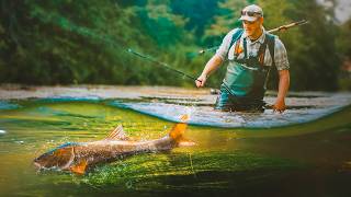 Can I Catch from the UK’s Clearest River [upl. by Zurn]