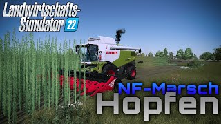 ✅ LS22  Hopfen ernten  NordfriesischeMarsch 1  Farming Simulator 22 [upl. by Ballou]