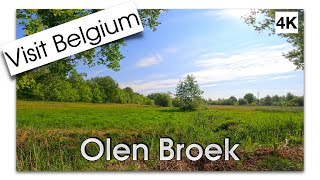 Stroll in the south side of Olen Broek Kempen Belgium 4K [upl. by Nnairac406]