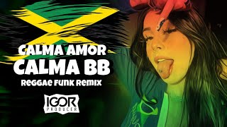 CALMA AMOR CALMA BB vs CALMA VAI DEVAGAR 2 Reggae Funk Remix 2023 igorproducer [upl. by Farrish]