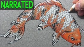 How to Draw a Fish quotKoiquot Narrated StepbyStep [upl. by Lilhak]