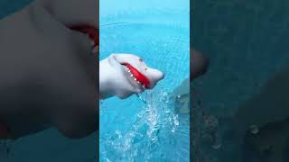 Shark Puppet Takes On The FREEZING POOL CHALLENGE subscribe shorts sharkpuppet [upl. by Anitram]