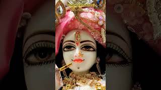 Jay Shri Radhe Krishna 🙏🙏💐sadhana serial tales sadhanashukla26 [upl. by Maiga568]