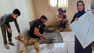 A Tale of Family Unity in Cleaning the Dogs House [upl. by Shaikh]